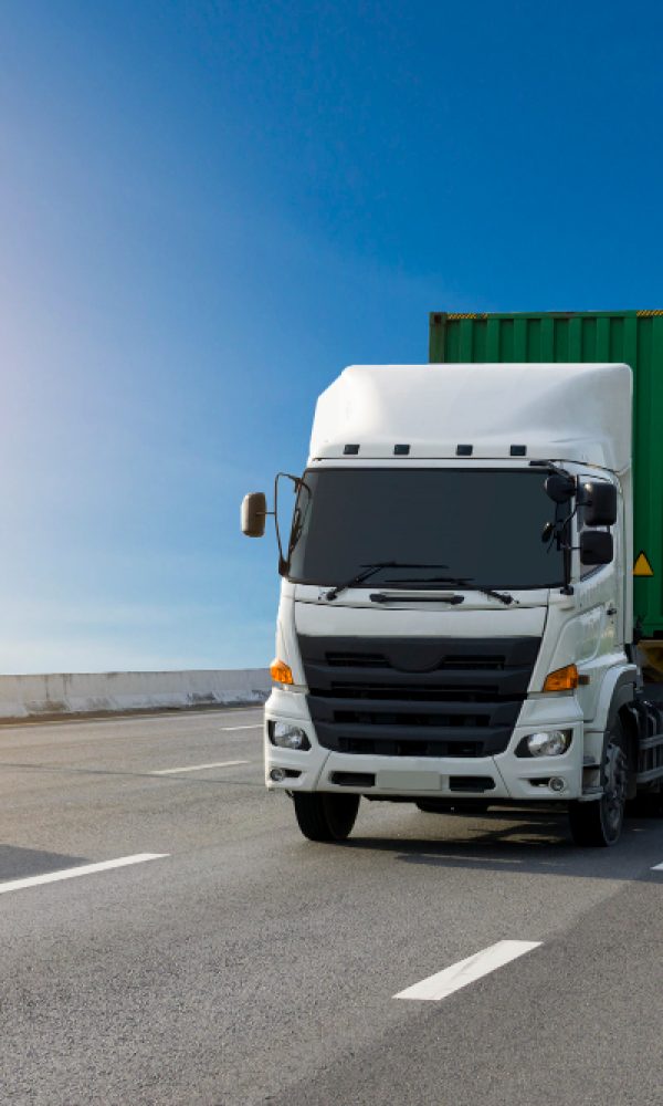 camion-blanco-carretera-contenedor-verde-importacion-transporte-logistico-exportacion